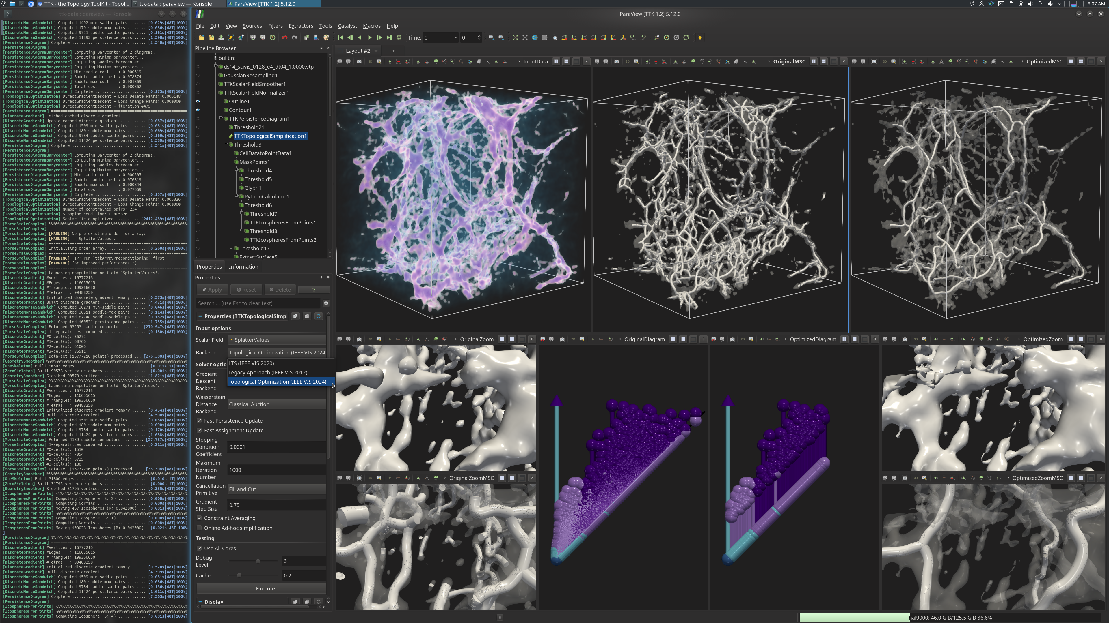 Topological Optimization DarkySky example Image